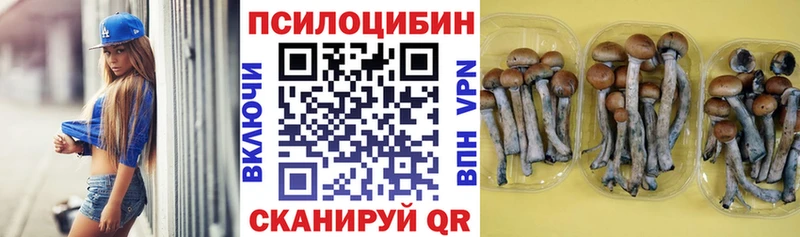 hydra как зайти  Челябинск  Галлюциногенные грибы MAGIC MUSHROOMS 